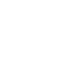 nanorevit