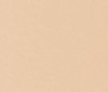 2W Warm Beige
